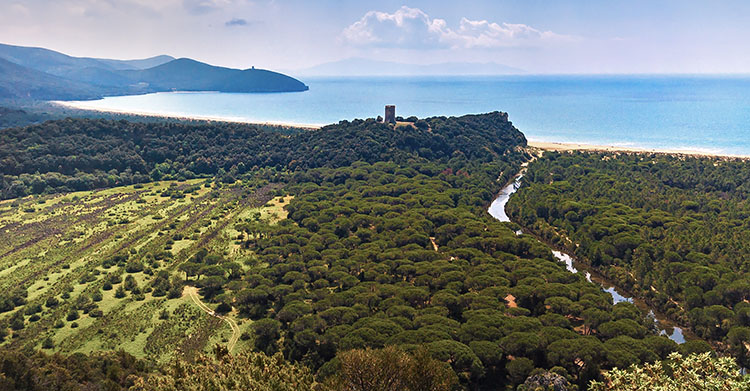 Parco della Maremma