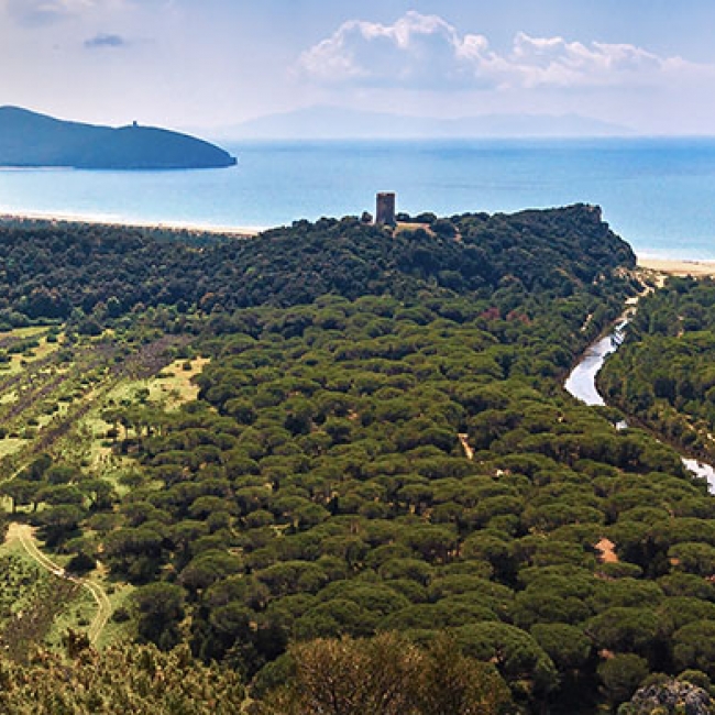 Parco della Maremma